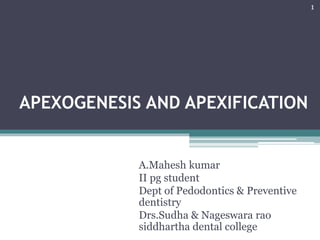 APEXOGENESIS AND APEXIFICATION
A.Mahesh kumar
II pg student
Dept of Pedodontics & Preventive
dentistry
Drs.Sudha & Nageswara rao
siddhartha dental college
1
 