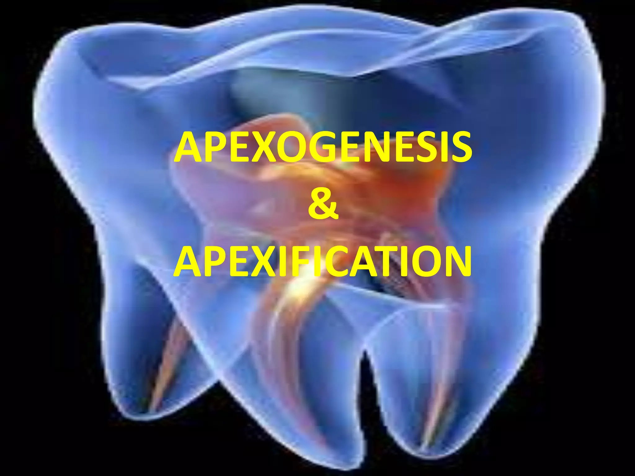 APEXOGENESIS
&
APEXIFICATION
