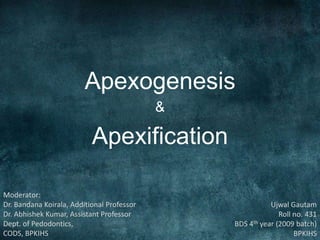 Apexogenesis
&
Apexification
Ujwal Gautam
Roll no. 431
BDS 4th year (2009 batch)
BPKIHS
Moderator:
Dr. Bandana Koirala, Additional Professor
Dr. Abhishek Kumar, Assistant Professor
Dept. of Pedodontics,
CODS, BPKIHS
 
