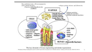 Apexogenesis apexification and revascularization | PPTX