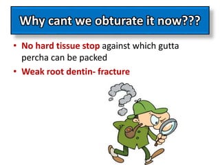 Why cant we obturate it now???
• No hard tissue stop against which gutta
percha can be packed
• Weak root dentin- fracture
 