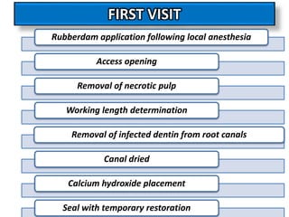 FIRST VISIT
Rubberdam application following local anesthesia
Access opening
Removal of necrotic pulp
Working length determination
Removal of infected dentin from root canals
Canal dried
Calcium hydroxide placement
Seal with temporary restoration
 