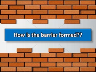 How is the barrier formed??
 