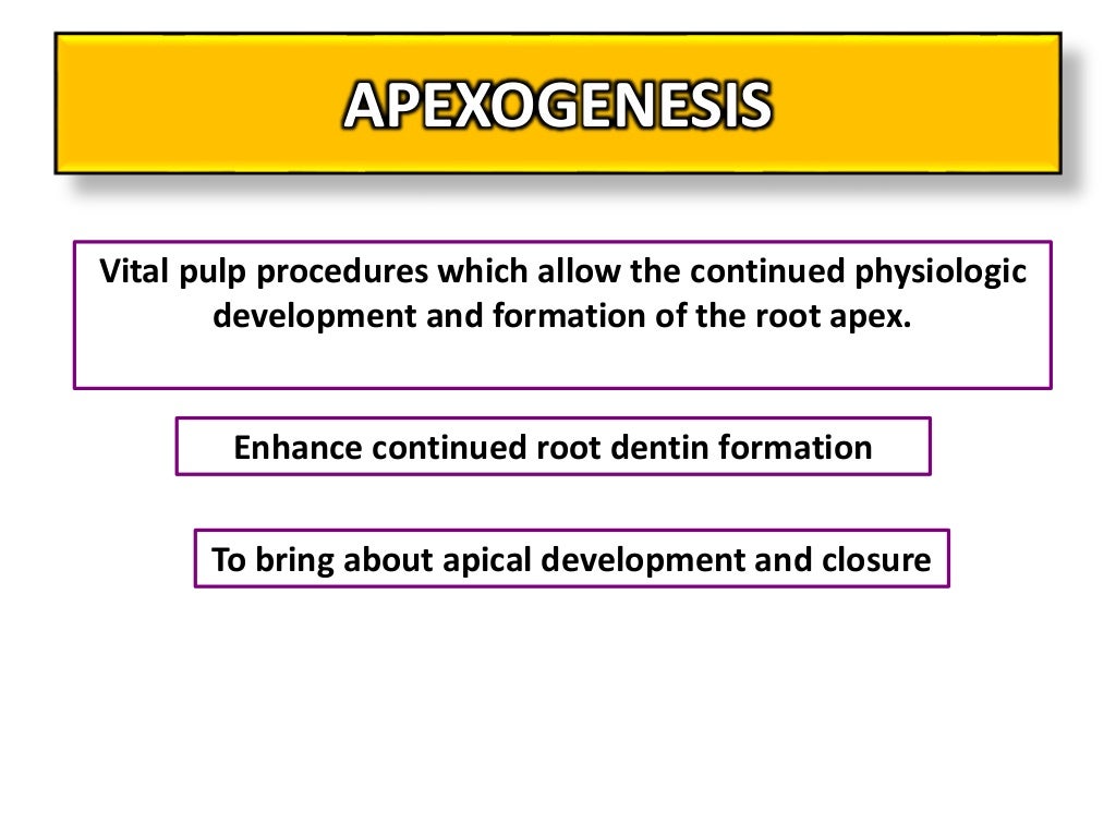 Apexogenesis and Apexification pediatric dentistry