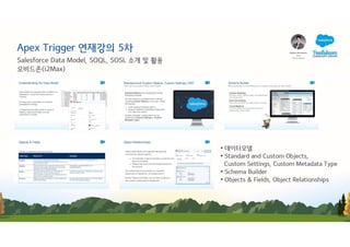 [Apex Trigger 연재강의 6회차] 트리거를 실무에서 어디에 어떻게 사용 하는가? | PDF