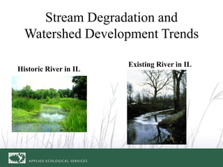 Stream Degradation and
Watershed Development Trends
Historic River in IL
Existing River in IL
 