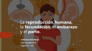 La reproducción humana,
la fecundación, el embarazo
y el parto.
CIENCIAS NATURALES
Prof. Lourdes Peré.
Curso 2°1°- 2°2°
 