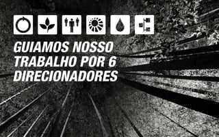 GUIAMOS NOSSO
TRABALHO POR 6
DIRECIONADORES
 