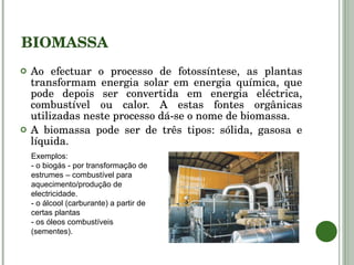 BIOMASSA Ao efectuar o processo de fotossíntese, as plantas transformam energia solar em energia química, que pode depois ser convertida em energia eléctrica, combustível ou calor. A estas fontes orgânicas utilizadas neste processo dá-se o nome de biomassa. A biomassa pode ser de três tipos: sólida, gasosa e líquida.  Exemplos: - o biogás - por transformação de estrumes – combustível para aquecimento/produção de electricidade. - o álcool (carburante) a partir de certas plantas - os óleos combustíveis (sementes). 