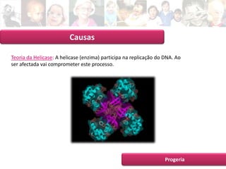 Apresentação Intermédia 1