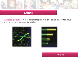 Apresentação Intermédia 1