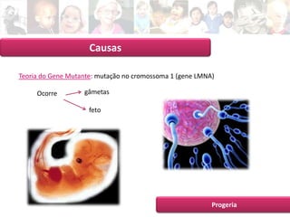 Apresentação Intermédia 1