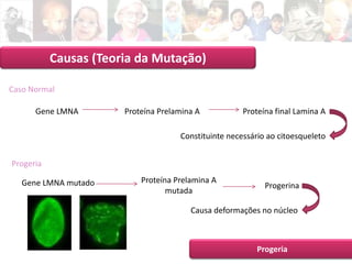 Apresentação Intermédia 1