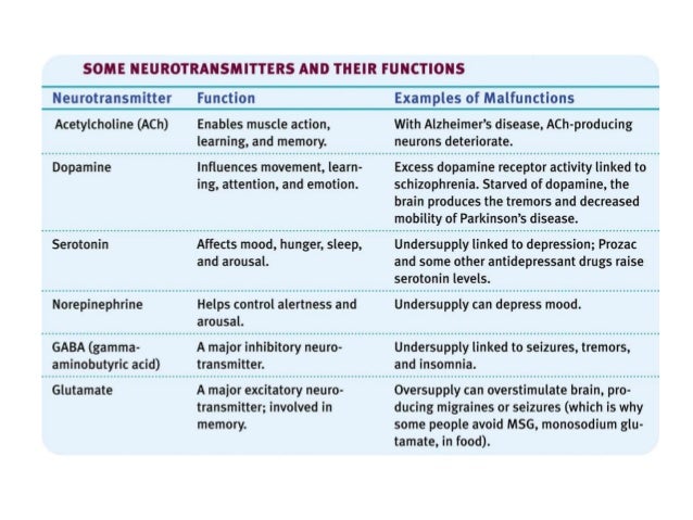 a comparison between authoritative and permissive parenting Parenting and discipline based on natural and this style of authoritative discipline assumes that children need to be the giving in or permissive. a comparison between authoritative and permissive parenting Parenting and discipline based on natural and this style of authoritative discipline assumes that children need to be the giving in or permissive.