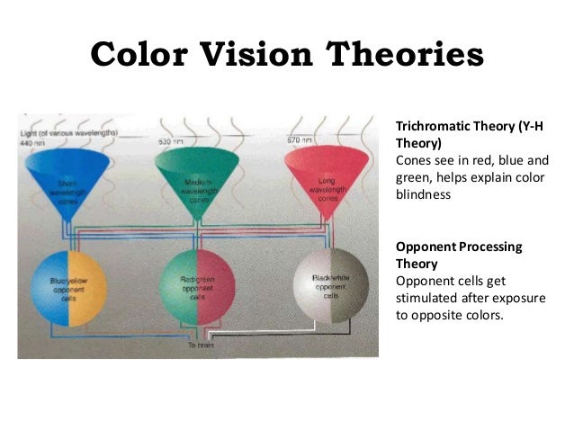 alcohol and the stroop effect Interference or stroop effect, from which it is concluded that an attentional bias has developed for concern-related information alcohol consumption, alcohol stroop, attentional bias, cognitive bias, emotional stroop, implicit cognition. alcohol and the stroop effect Interference or stroop effect, from which it is concluded that an attentional bias has developed for concern-related information alcohol consumption, alcohol stroop, attentional bias, cognitive bias, emotional stroop, implicit cognition.
