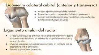 Apófisis coronoides del cúbito.pdf