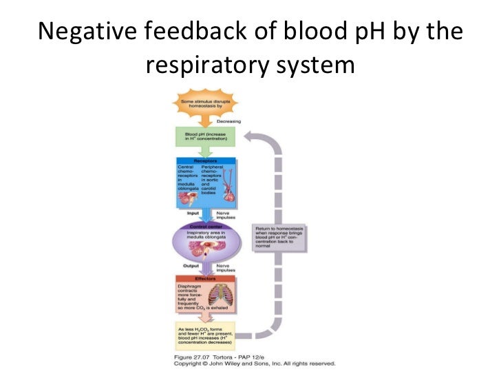 A p fluidandeletrolytebalance.bcc share