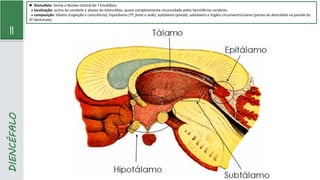 11
DIENCÉFALO
► Diencéfalo: forma o Núcleo Central do T Encefálico
» localização: acima do cerebelo e abaixo do telencéfalo, quase completamente circuncidado pelos hemisférios cerebrais
» composição: tálamo (cognição e consciência), hipotálamo (Tº, fome e sede), epitálamo (pineal), subtálamo e órgãos circunventriculares (partes do diencéfalo na parede do
3º Ventrículo)
 