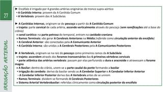 27
IRRIGAÇÃO
ARTERIAL
► Encéfalo é irrigado por 4 grandes artérias originárias do tronco supra-aórtico
▪ A Carótida Interna: provem da A Carótida Comum
▪ A Vertebrais: provem das A Subclávias
► A Carótidas Internas, originam-se do pescoço a partir da A Carótida Comum
» trajeto: parte cervical de cada artéria, ascende verticalmente através do pescoço (sem ramificações até a base do
crânio)
» canal carótico: na parte petrosa do temporal, entram na cavidade craniana
» Ramos Terminais: vão gerar A Cerebrais Anteriores na Média (referida como circulação anterior do encéfalo)
▪ A Cerebral Anterior: são conectadas pela A Comunicante Anterior
▪ A Carótida Interna: são unidas a A Cerebrais Posteriores pela A Comunicantes Posteriores
► A Vertebrais, originam-se na raiz do pescoço como primeiros ramos da A Subclávia
» trajeto: ascendem através dos forames transversários das 6 primeiras vértebras cervicais
▪ parte atlântica das artérias vertebrais: passam por elas perfurando a dura e aracnoide e atravessam o forame
magno
» A Basilar: dentro do crânio, unem-se a parte caudal da ponte formando a basilar
▪ irrigação do cerebelo: deriva da basilar sendo as A Cerebelar Superior e A Cerebelar Inferior Anterior
- A Cerebelar Inferior Posterior deriva das A Vertebrais antes de se unirem
▪ Ramos Terminais: dividem-se formando A Cerebrais Posteriores
» Sistema Arterial Vertebrobasilar: referidas clinicamente como circulação posterior do encéfalo
 