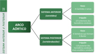 28
SISTEMA
ANTERIOR
E
POSTERIOR
ARCO
AÓRTICO
SISTEMA ANTERIOR
(carotídeo)
Vasos
- A Carótidas e ramos
Irrigação
- 2/3 anteriores dos
hemisférios cerebrais
SISTEMA POSTERIOR
(vertebrobasilar)
Vasos
- A Vertebrais que formam
A Basilar
Irrigação
- 1/3 posterior dos
hemisférios cerebrais
(mais encéfalo e cerebelo)
 