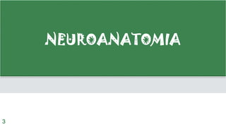 NEUROANATOMIA
3
 