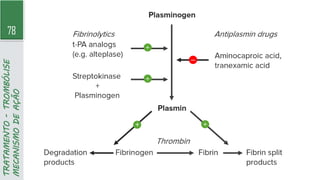 78
TRATAMENTO
-
TROMBÓLISE
MECANISMO
DE
AÇÃO
 