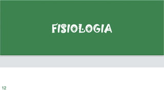 FISIOLOGIA
12
 