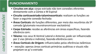 13
CONEXÕES
E
OPERAÇÕES FUNCIONAMENTO
• Circuitos em alça: corpo estriado não tem conexões eferentes
diretamente com a Córtex e M Espinal
• Circuito corticoestriado-talaminocorticais: realizam as funções ao
fazer a seguinte conexão fechada:
• Áreas Corticais: de funções diferentes, por meio dos neurônios da 5ª
camada (glutamato neurotransmissor excitatório)
• Corpo Estriado: recebe as aferências em áreas específicas, fazendo
eferência com:
• Tálamo: nos seus N Ventral Lateral e Anterior, pode ser influenciado
por 2 vias (direta e indireta), fazendo eferência com:
• Áreas Corticais de Origem: influenciados pelas eferências talâmicas
• - exceção: apenas áreas corticais primárias auditivas e visuais não
projetam-se p/ o estriado
 