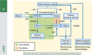 14
VIAS
► GPe, globo pálido externo: GPi, globo pálido interno: VA/VL núcleos ventral anterior/ventral lateral do tálamo
 