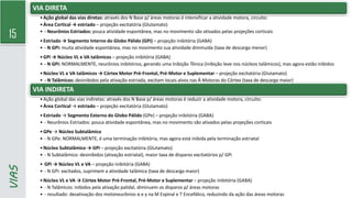 15
VIAS
VIA DIRETA
•Ação global das vias diretas: através dos N Base p/ áreas motoras é intensificar a atividade motora, circuito:
•Área Cortical → estriado – projeção excitatória (Glutamato)
• - Neurônios Estriados: pouca atividade espontânea, mas no movimento são ativados pelas projeções corticais
•Estriado → Segmento Interno do Globo Pálido (GPi) – projeção inibitória (GABA)
• - N GPi: muita atividade espontânea, mas no movimento sua atividade diminuída (taxa de descarga menor)
•GPi → Núcleo VL e VA talâmicos – projeção inibitória (GABA)
• - N GPi: NORMALMENTE, neurônios inibitórios, gerando uma Inibição Tônica (inibição leve nos núcleos talâmicos), mas agora estão inibidos
•Núcleo VL e VA talâmicos → Córtex Motor Pré-Frontal, Pré-Motor e Suplementar – projeção excitatória (Glutamato)
• - N Talâmicos: desinibidos pela ativação estriada, excitam locais alvos nas Á Motoras do Córtex (taxa de descarga maior)
• - resultado: ativação dos motoneurônios α e γ na M Espinal e T Encefálico, potencialização da ação das áreas motoras
VIA INDIRETA
•Ação global das vias indiretas: através dos N Base p/ áreas motoras é reduzir a atividade motora, circuito:
•Área Cortical → estriado – projeção excitatória (Glutamato)
•Estriado → Segmento Externo do Globo Pálido (GPe) – projeção inibitória (GABA)
• - Neurônios Estriados: pouca atividade espontânea, mas no movimento são ativados pelas projeções corticais
•GPe → Núcleo Subtalâmico
• - N GPe: NORMALMENTE, é uma terminação inibitória, mas agora está inibida pela terminação estriatal
•Núcleo Subtalâmico → GPi – projeção excitatória (Glutamato)
• - N Subtalâmico: desinibidos (ativação estriatal), maior taxa de disparos excitatórios p/ GPi
• GPi → Núcleo VL e VA – projeção inibitória (GABA)
• - N GPi: excitados, suprimem a atividade talâmica (taxa de descarga maior)
•Núcleo VL e VA → Córtex Motor Pré-Frontal, Pré-Motor e Suplementar – projeção inibitória (GABA)
• - N Talâmicos: inibidos pela ativação palidal, diminuem os disparos p/ áreas motoras
• - resultado: desativação dos motoneurônios α e γ na M Espinal e T Encefálico, reduzindo da ação das áreas motoras
 