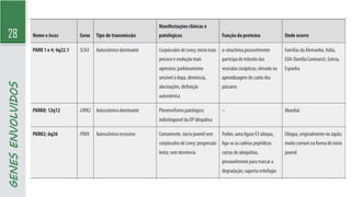 28
GENES
ENVOLVIDOS
 