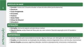 4
INTRODUÇÃO NÚCELOS DA BASE
• Conceito: massas de S Cinzenta situadas na base do telencéfalo (profundamente)
• Claustrum
• Corpo Amigdaloide
• N Caudado
• Putâmen
• Globo Pálido
• N Basal de Meynert
• N Accubens
ESTRIAÇÕES
• Estriações: deriva do aspecto estriado desses núcleos
• Cápsula Interna: produz feixes de fibras pelo seu ramo anterior (fazendo separação entre N Caudado e
Putâmen)
IMPORTÂNCIA
• estudo motivado pela necessidade de entender algumas doenças com alterações de motricidade (Parkinson)
• Funções: prioritariamente na modulação das atividades motoras (regulando início e término dos movimentos)
• Demais funções: processos cognitivos (atenção, memória e planejamento), emocionais e motivacionais
 
