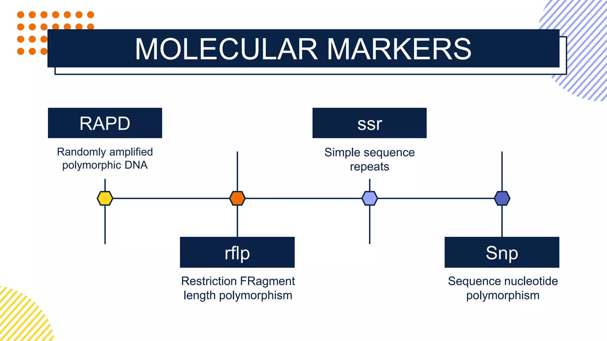 Genetic purity & DUS test , PPV&FRA | PPTX