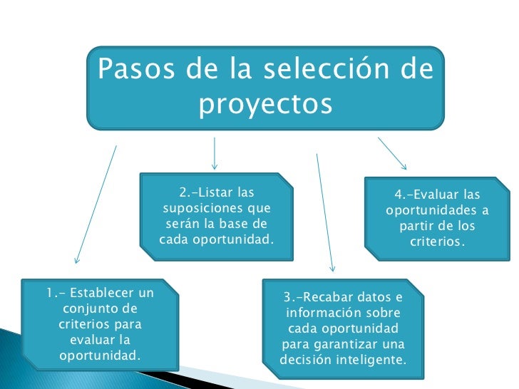 SELECCION DE PROYECTOS