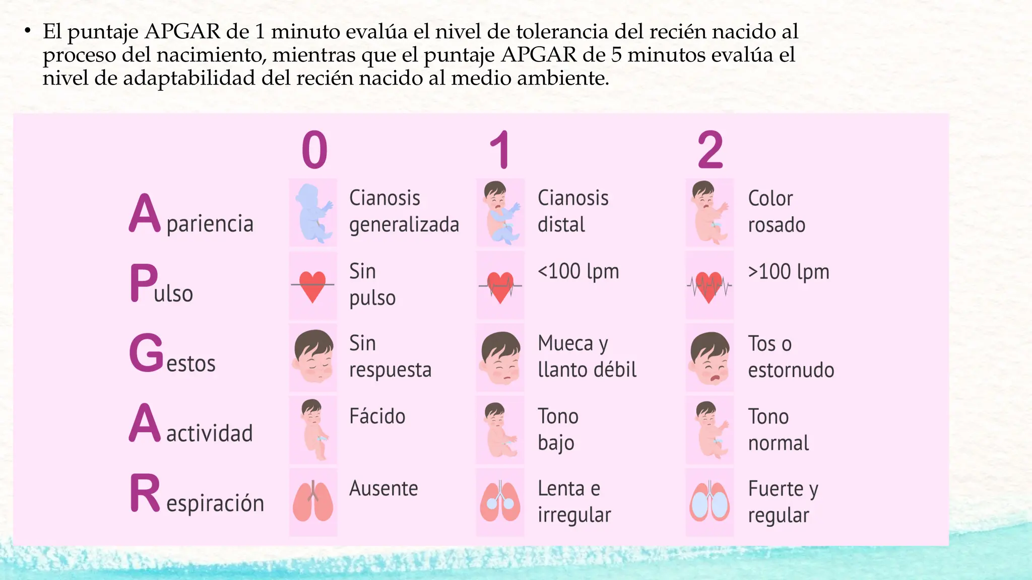 APGAR TEST APAGAR VALORACION DEL RECIEN NACIDO | PPTX