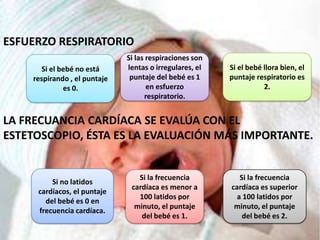 ESFUERZO RESPIRATORIO
                              Si las respiraciones son
       Si el bebé no está     lentas o irregulares, el   Si el bebé llora bien, el
    respirando , el puntaje    puntaje del bebé es 1     puntaje respiratorio es
              es 0.                  en esfuerzo                    2.
                                    respiratorio.


LA FRECUANCIA CARDÍACA SE EVALÚA CON EL
ESTETOSCOPIO, ÉSTA ES LA EVALUACIÓN MÁS IMPORTANTE.


                                 Si la frecuencia           Si la frecuencia
         Si no latidos
                               cardíaca es menor a       cardíaca es superior
     cardíacos, el puntaje
                                 100 latidos por           a 100 latidos por
       del bebé es 0 en
                                minuto, el puntaje        minuto, el puntaje
     frecuencia cardíaca.
                                  del bebé es 1.             del bebé es 2.
 