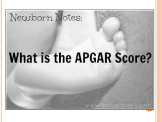 What Is the Apgar Score?