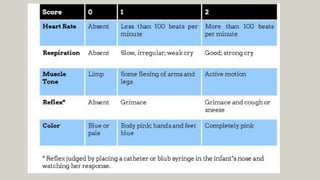 APGAR SCORE.pptx - NCM 107 (SKILLS LAB) | PPTX
