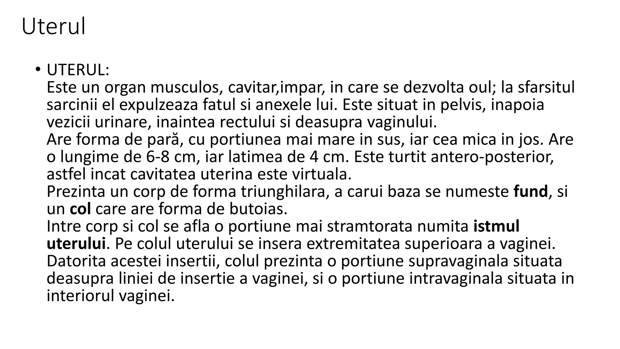 Ap genital fem anato i | PPTX