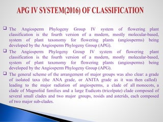 APG IV classification_details from I to IV | PPTX