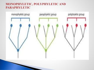 APG IV classification_details from I to IV | PPTX