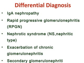 Differential Diagnosis
• IgA nephropathy
• Rapid progressive glomerulonephritis
(RPGN)
• Nephrotic syndrome (NS,nephritic
type)
• Exacerbation of chronic
glomerulonephritis
• Secondary glomerulonephriti
 