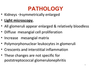 PATHOLOGY
• Kidneys →symmetrically enlarged
• Light microscopy,
• All glomeruli appear enlarged & relatively bloodless
• Diffuse mesangial cell proliferation
• Increase mesangial matrix
• Polymorphonuclear leukocytes in glomeruli
• Crescents and interstitial inflammation
• These changes are not specific for
poststreptococcal glomerulonephritis
8
 