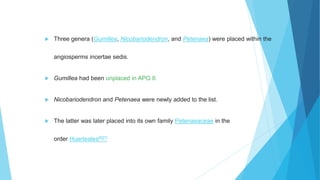  Three genera (Gumillea, Nicobariodendron, and Petenaea) were placed within the
angiosperms incertae sedis.
 Gumillea had been unplaced in APG II.
 Nicobariodendron and Petenaea were newly added to the list.
 The latter was later placed into its own family Petenaeaceae in the
order Huerteales[6][7]
 