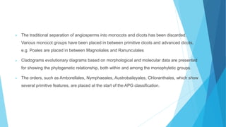  The traditional separation of angiosperms into monocots and dicots has been discarded.
Various monocot groups have been placed in between primitive dicots and advanced dicots,
e.g. Poales are placed in between Magnoliales and Ranunculales
 Cladograms evolutionary diagrams based on morphological and molecular data are presented
for showing the phylogenetic relationship, both within and among the monophyletic groups.
 The orders, such as Amborellales, Nymphaeales, Austrobaileyales, Chloranthales, which show
several primitive features, are placed at the start of the APG classification.
 