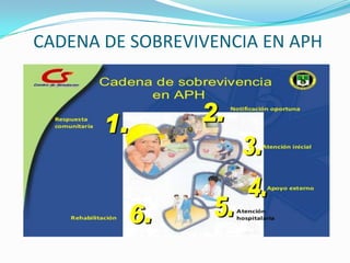 CADENA DE SOBREVIVENCIA EN APH
 