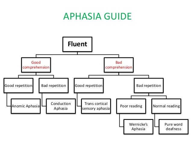 Aphasia in brief - Dr. Kasyapa