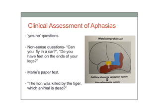 Aphasia and common aphasia syndromes.pdf