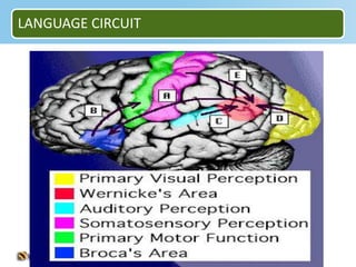 LANGUAGE CIRCUIT
 