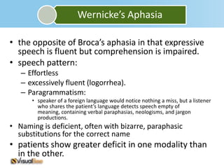 Wernicke’s Aphasia

• the opposite of Broca’s aphasia in that expressive
  speech is fluent but comprehension is impaired.
• speech pattern:
   – Effortless
   – excessively fluent (logorrhea).
   – Paragrammatism:
      • speaker of a foreign language would notice nothing a miss, but a listener
        who shares the patient’s language detects speech empty of
        meaning, containing verbal paraphasias, neologisms, and jargon
        productions.
• Naming is deficient, often with bizarre, paraphasic
  substitutions for the correct name
• patients show greater deficit in one modality than
  in the other.
 